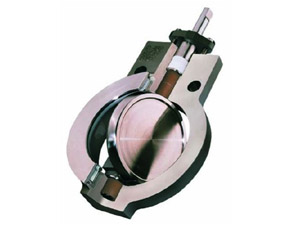 High Perfϣmance Butterfly Valves - Big Max BX2001