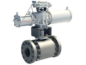 FULL PORT BALL VALVES - TMCBV