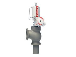 ANTI-EROSION CONTROL VALVES - SURVIVOR